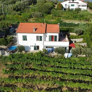 In Vino Veritas Nocleg ze śniadaniem Arcola